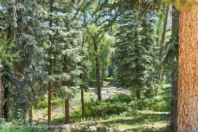 Experience the ultimate riverfront retreat on this stunning - photo 32