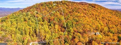 *The mountains are calling and I must go.* This 4.51 acre lot is - photo 5