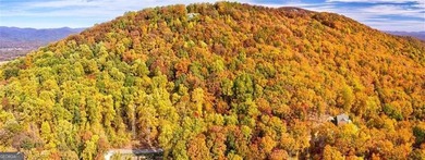 *The mountains are calling and I must go.* This 4.51 acre lot is - photo 10