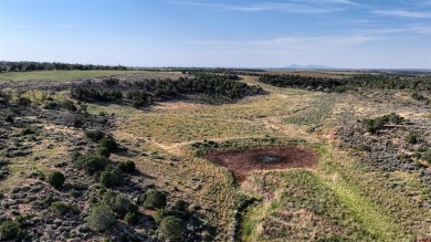  Acreage For Sale in Dove Creek Colorado