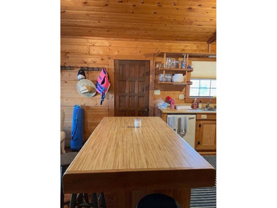Beautiful 4-bedroom, 2-bath log cabin on Lake Bruin with 1,461 - photo 16