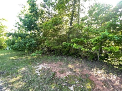 Lake Lot For Sale in Hiawassee, Georgia
