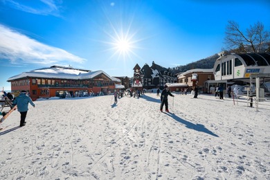 Immerse yourself in the Schweitzer Mountain lifestyle with this - photo 44