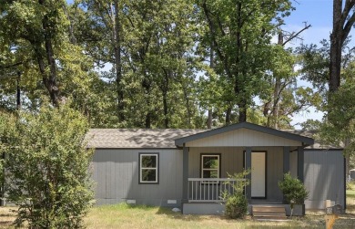 Lake Home For Sale in Chandler, Texas