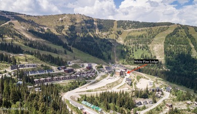 Immerse yourself in the Schweitzer Mountain lifestyle with this - photo 55