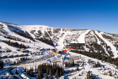Immerse yourself in the Schweitzer Mountain lifestyle with this - photo 56