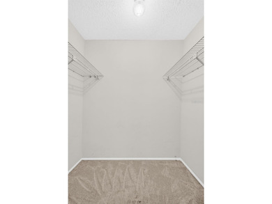 Welcome to 120 Evelyn Ct, Oldsmar, FL 34677, a beautifully - photo 33