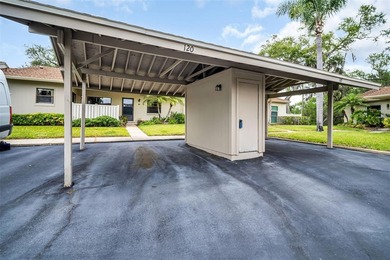 Welcome to 120 Evelyn Ct, Oldsmar, FL 34677, a beautifully - photo 42