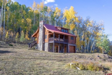  Home For Sale in Powderhorn Colorado