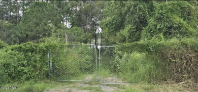 Lake Lot For Sale in Deltona, Florida