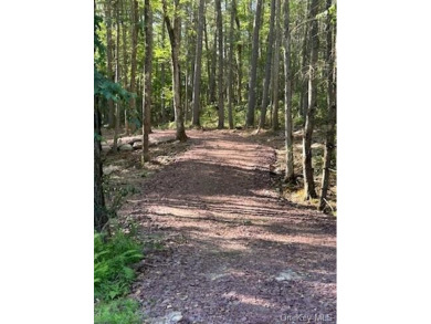 Timber Lake Acreage For Sale in Highland New York
