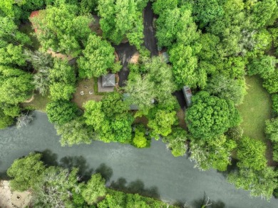 Lake Acreage For Sale in Mineral Bluff, Georgia