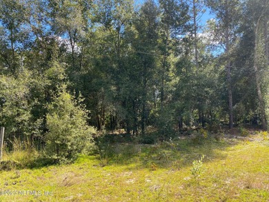 Chipco Lake Lot For Sale in Interlachen Florida