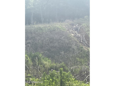 94.8+/- acres tract of rolling terrain with some steep areas - photo 11