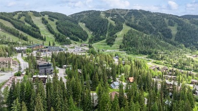 This luxurious home has unparalleled ski access with a private - photo 4