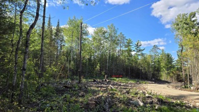 Lake Commercial For Sale in Crane Lake, Minnesota