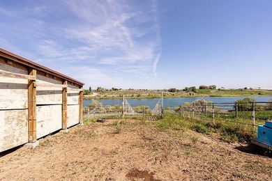 Rare hobby homestead backing to Seagull Bay! Situated on 5 - photo 30