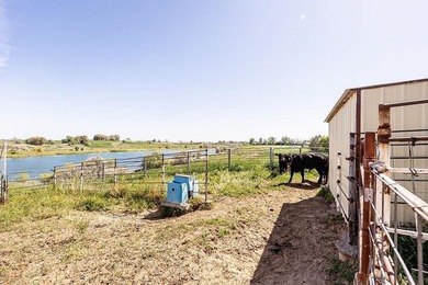 Rare hobby homestead backing to Seagull Bay! Situated on 5 - photo 31