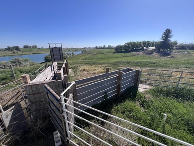 Rare hobby homestead backing to Seagull Bay! Situated on 5 - photo 45