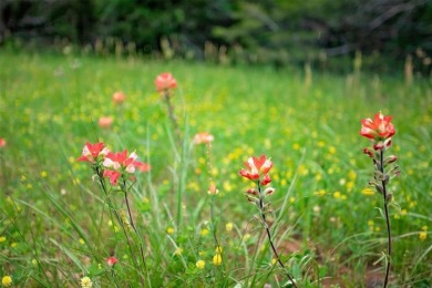 Lake Texoma Lot For Sale in Gordonville Texas