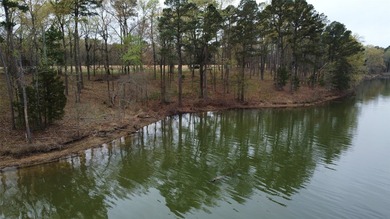 GENERAL DESCRIPTION: This 69-acre tract on Lake Bob Sandlin - photo 3