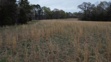 GENERAL DESCRIPTION: This 69-acre tract on Lake Bob Sandlin - photo 5