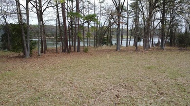 GENERAL DESCRIPTION: This 69-acre tract on Lake Bob Sandlin - photo 10
