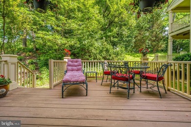 Tucked along a quiet no-thru street in Columbia's desirable - photo 34