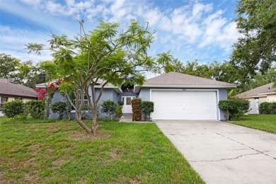 Lake Home For Sale in Tavares, Florida