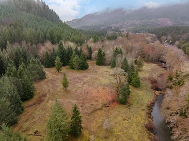 (private lake, pond, coastal) Acreage For Sale in Azalea Oregon