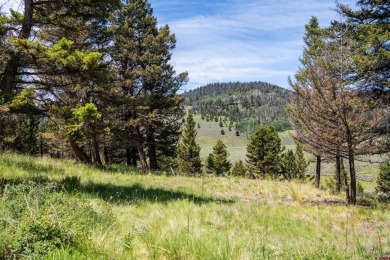 (private lake, pond, creek) Lot For Sale in Powderhorn Colorado