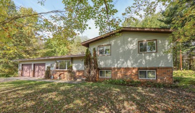 Lake Home For Sale in Suring, Wisconsin