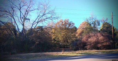 Lake Lot For Sale in Holly Lake Ranch, Texas