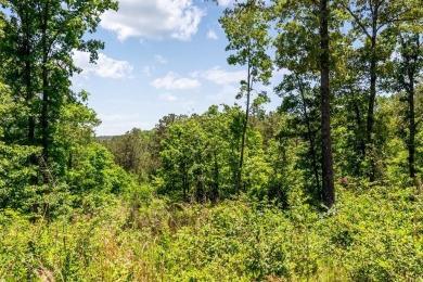 Carters Lake Acreage For Sale in Talking Rock Georgia