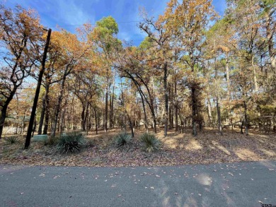 Lake Lot For Sale in Holly Lake Ranch, Texas