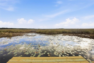 Lake Kerr Home For Sale in Salt Springs Florida
