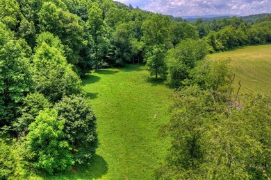 Charming cottage home nestled on nearly 7 private wooded acres - photo 25