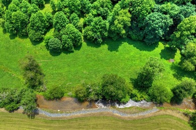 Charming cottage home nestled on nearly 7 private wooded acres - photo 28