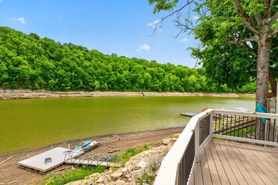 Home with Private Dock on Herrington Lake! - photo 29