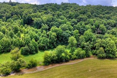 Charming cottage home nestled on nearly 7 private wooded acres - photo 35