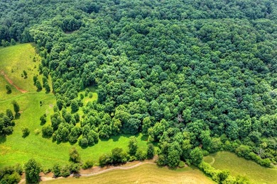 Charming cottage home nestled on nearly 7 private wooded acres - photo 47
