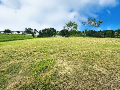 Texas Waterfront Views with Country Vibes. Build a Boathouse! - photo 9