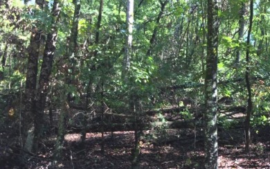 MOUNTAIN TIME! Buckhorn Estates is ideally located between - Lake Lot For Sale in Ellijay, Georgia