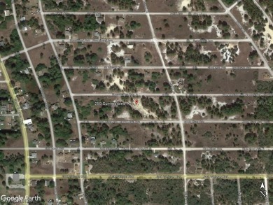 Lake Grassy Lot For Sale in Other Florida