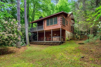 Lake Home For Sale in Ellijay, Georgia