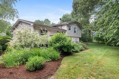 Adorable 3 Bedroom, 2.5 Bath Split-Level in South Road Estates - photo 3