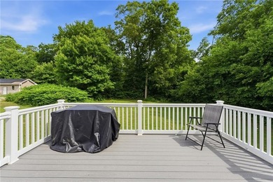BEAUTIFUL REMODLED CUSTOME CAPE STYLE HOME ON OVER A HALF ACRE - photo 8