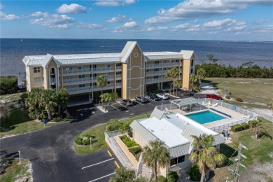 Lake Vivante Condo For Sale in Punta Gorda Florida
