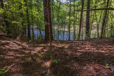 (private lake, pond, creek) Acreage For Sale in Clinton South Carolina