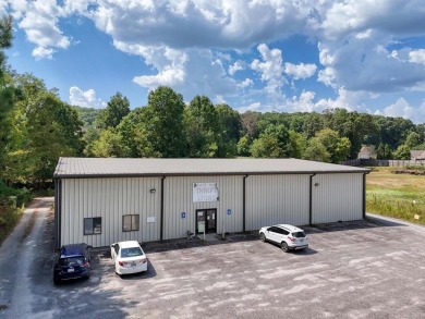 Lake Commercial For Sale in Young Harris, Georgia